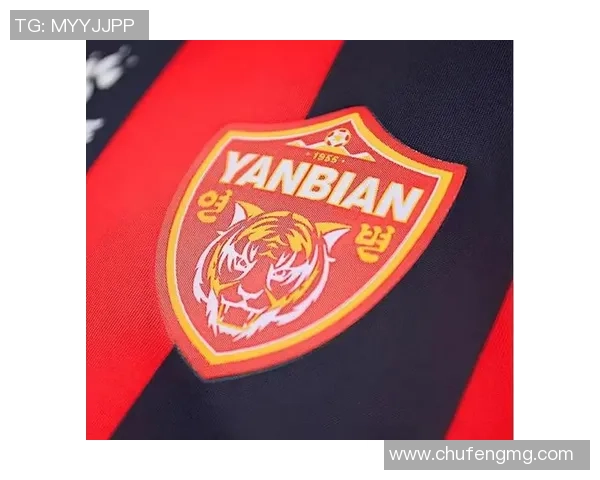 吉林足球队的代表性球星及其成就探析